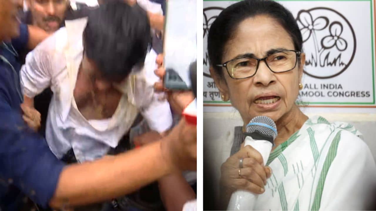 Mamata Banerjee-Attack on Abhishek: ডিম-জুতো নিয়ে অভিষেকের উপর হামলার পর কী বললেন মমতা