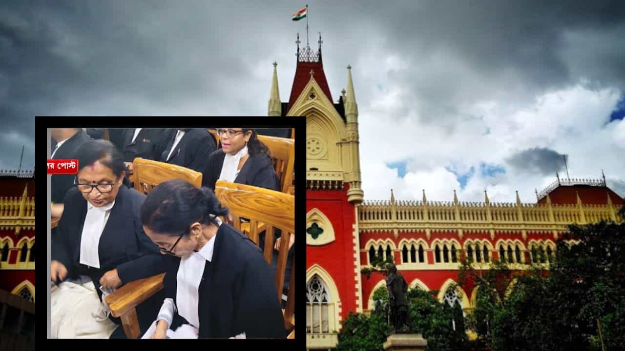Calcutta High Court: সওয়াল করেছেন মমতা, ভোট পরবর্তী হিংসা মামলায় বড় রায় কলকাতা হাইকোর্টের Calcutta High Court: সওয়াল করেছেন মমতা, ভোট পরবর্তী হিংসা মামলায় বড় রায় কলকাতা হাইকোর্টের
