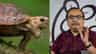 'খোলসে ঢুকে থাকুন', কচ্ছপ দিবসে কাকে বার্তা? কুণাল বললেন...
