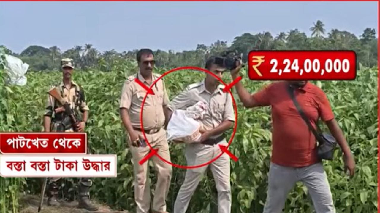 ২,২৪,০০,০০০ উদ্ধার হয়েছে, পাটগাছ সরালেই মাটির তলায় আরও গুপ্তধন! উড়ছে ড্রোন