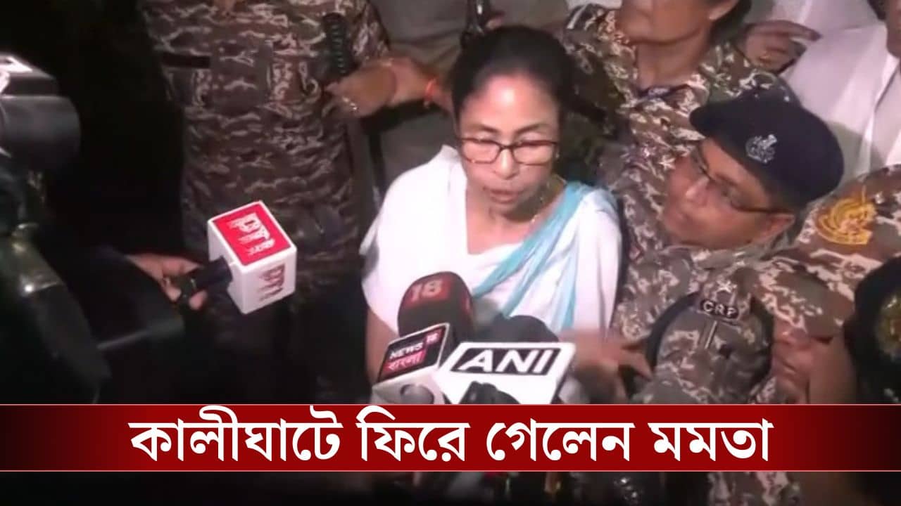 Mamata Banerjee: জোর করে হারানো হয়েছে...আমি আবার ফিরে আসব..., মমতাকে দেখে উঠল চোর স্লোগান