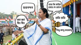দেড় দশকে কী কী শব্দ 'আবিষ্কার' করেছেন মমতা বন্দ্যোপাধ্যায়?
