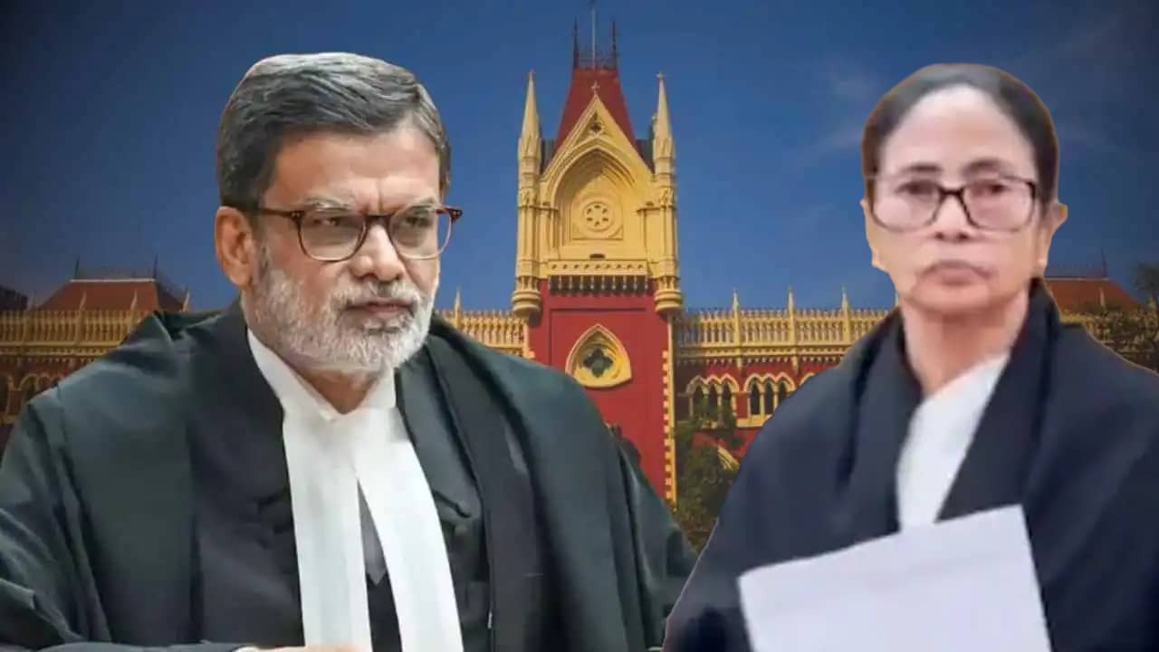 Post Poll Violence Case In HC: প্লিজ প্লিজ স্যর, এটাই আমার শেষ বক্তব্য, প্রধান বিচারপতির কাছে হাত জোড় করে ভেঙে পড়লেন মমতা