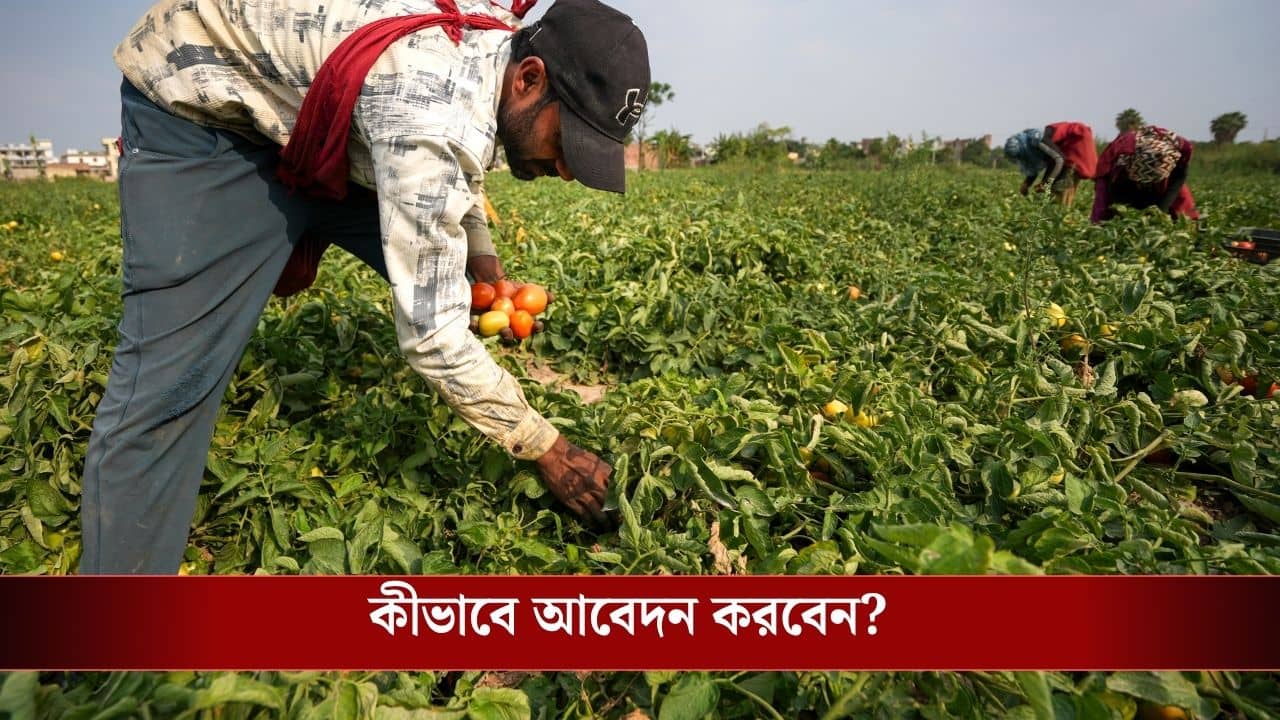চার মাস অন্তর ২০০০ টাকা করে আসবে অ্যাকাউন্টে, কীভাবে PM Kisan Samman Nidhi-র জন্য আবেদন করবেন কৃষকরা?