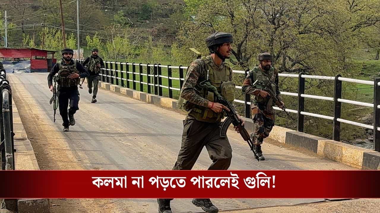 Pahalgam Attack Chargesheet: বেছে বেছে হিন্দু মেরে জঙ্গিরা তারপর কী করেছিল? চাঞ্চল্যকর চার্জশিট পহেলগাঁও হামলার