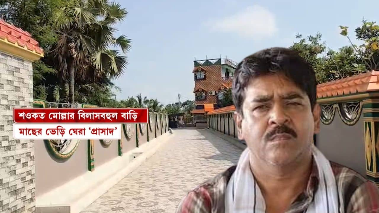 Saokat Mollas House: মাছের ভেড়ি দিয়ে ঘেরা বাগান, ভোটের পর কোথায় গেলেন শওকত?
