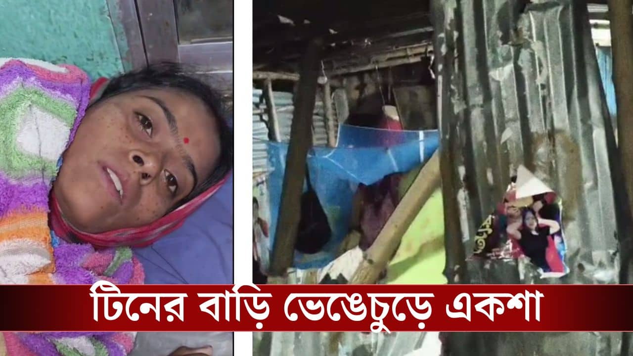 Canning TMC-BJP Chaos: নেতা হয়ে মুরগি চুরি করছ? শুনেই বলল ৪ তারিখের পর তোকেও টেনে নিয়ে যাব, তৃণমূলের বিরুদ্ধে গুরুতর অভিযোগ