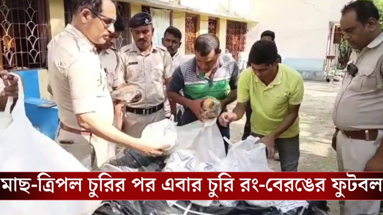 Purbasthali TMC Leader Arrest: তা বলে এবার ফুটবল চুরি? প্রাক্তন তৃণমূল বিধায়কের বাড়ি থেকে বেরচ্ছে গুচ্ছ-গুচ্ছ বল