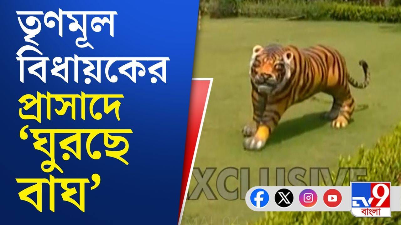 TMC MLA: পৈলানে তৃণমূল বিধায়কের রাজপ্রাসাদ, কিন্তু কেমন আছে এলাকার মানুষ? TMC MLA: পৈলানে তৃণমূল বিধায়কের রাজপ্রাসাদ, কিন্তু কেমন আছে এলাকার মানুষ?