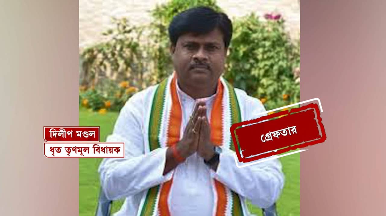 TMC MLA Dilip Mondal: ধর্ষণ, খুনের চেষ্টা, হুমকি-সহ একাধিক ধারায় মামলা, জেলেই থাকতে হচ্ছে তৃণমূল MLA দিলীপ মণ্ডলকে