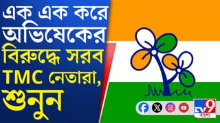 তৃণমূলের ভরাডুবির কারণ অভিষেক? নেতারা যা বললেন…