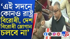 'রাষ্ট্রবিরোধী, দেশবিরোধী স্লোগান চলবে না', বিধানসভায় সুর চড়ালেন তাপস