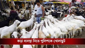 রাস্তা আটকে নমাজ পড়া যাবে না, পশু জবাইয়ে নিয়ম না মানলেই চরম শাস্তি!