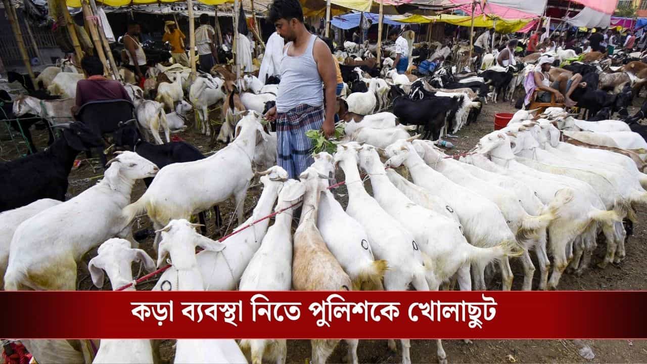 UP Bakrid Order: রাস্তা আটকে নমাজ পড়া যাবে না, পশু জবাইয়ে নিয়ম না মানলেই চরম শাস্তি! মাংস বিক্রি নিয়ে কী নির্দেশ এল?