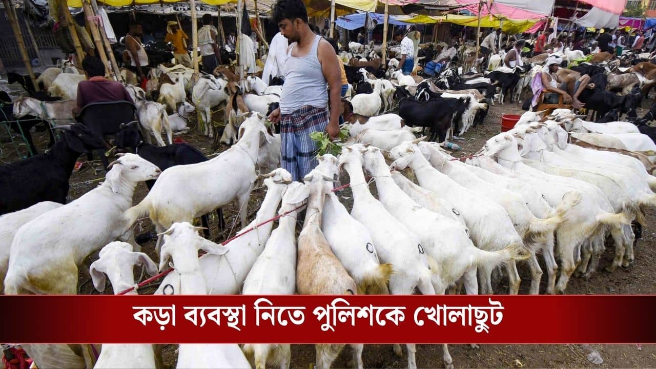 UP Bakrid Order: রাস্তা আটকে নমাজ পড়া যাবে না, পশু জবাইয়ে নিয়ম না মানলেই চরম শাস্তি! মাংস বিক্রি নিয়ে কী নির্দেশ এল?