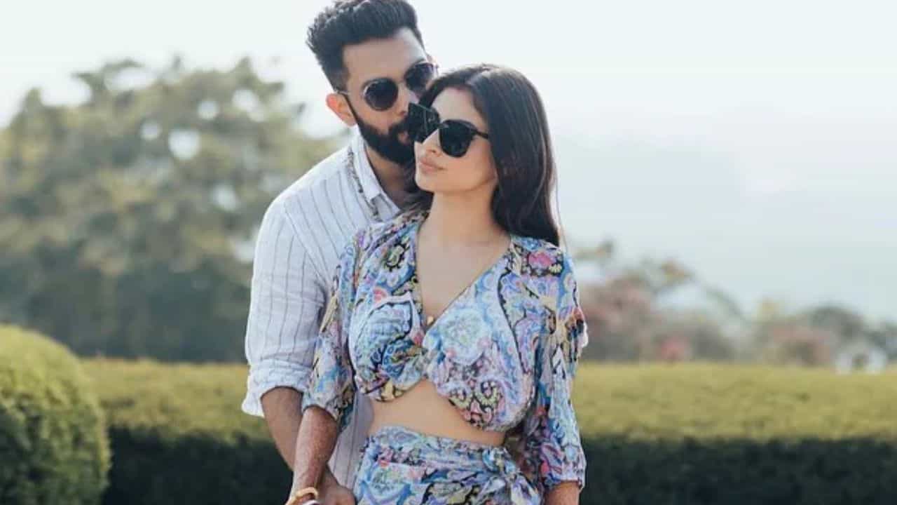 মৌনী রায়ের সঙ্গে তাঁর বরের বিয়ে ভাঙছে? কী ঘটল দম্পতির মধ্যে...
