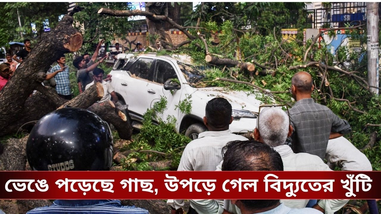Uttar Pradesh Rain: প্রবল ঝড়ে লণ্ডভণ্ড উত্তর প্রদেশ, ভেঙে পড়ল ঘর-বাড়ি, মৃত অন্তত ৬০