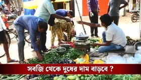 পেট্রোল-ডিজ়েলের আগুনে পুড়বে পকেট! দাম বাড়তে পারে কোন কোন জিনিসের?