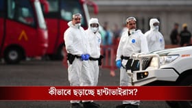 হান্টাভাইরাসে এখন কতজন আক্রান্ত? কতটা সংক্রমণ ছড়াতে পারে, আপডেট WHO-র
