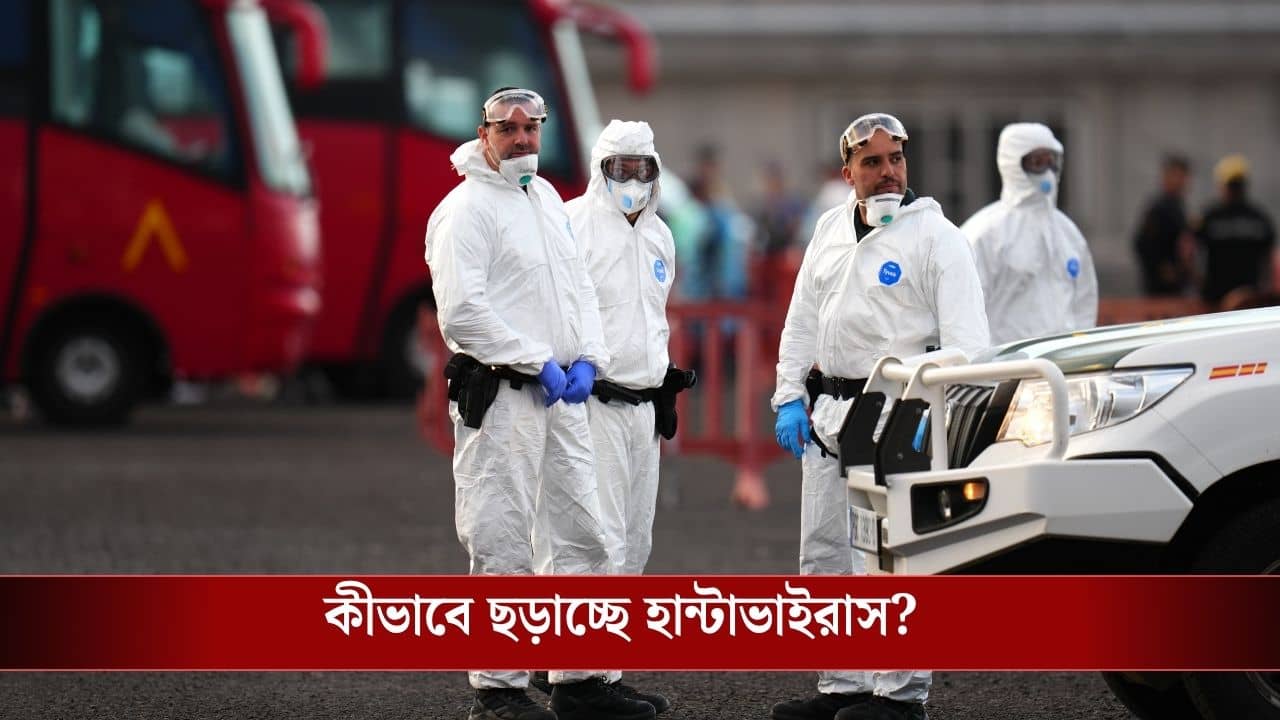 Hantavirus Cases: হান্টাভাইরাসে এখন কতজন আক্রান্ত? কতটা সংক্রমণ ছড়াতে পারে, আপডেট দিল WHO