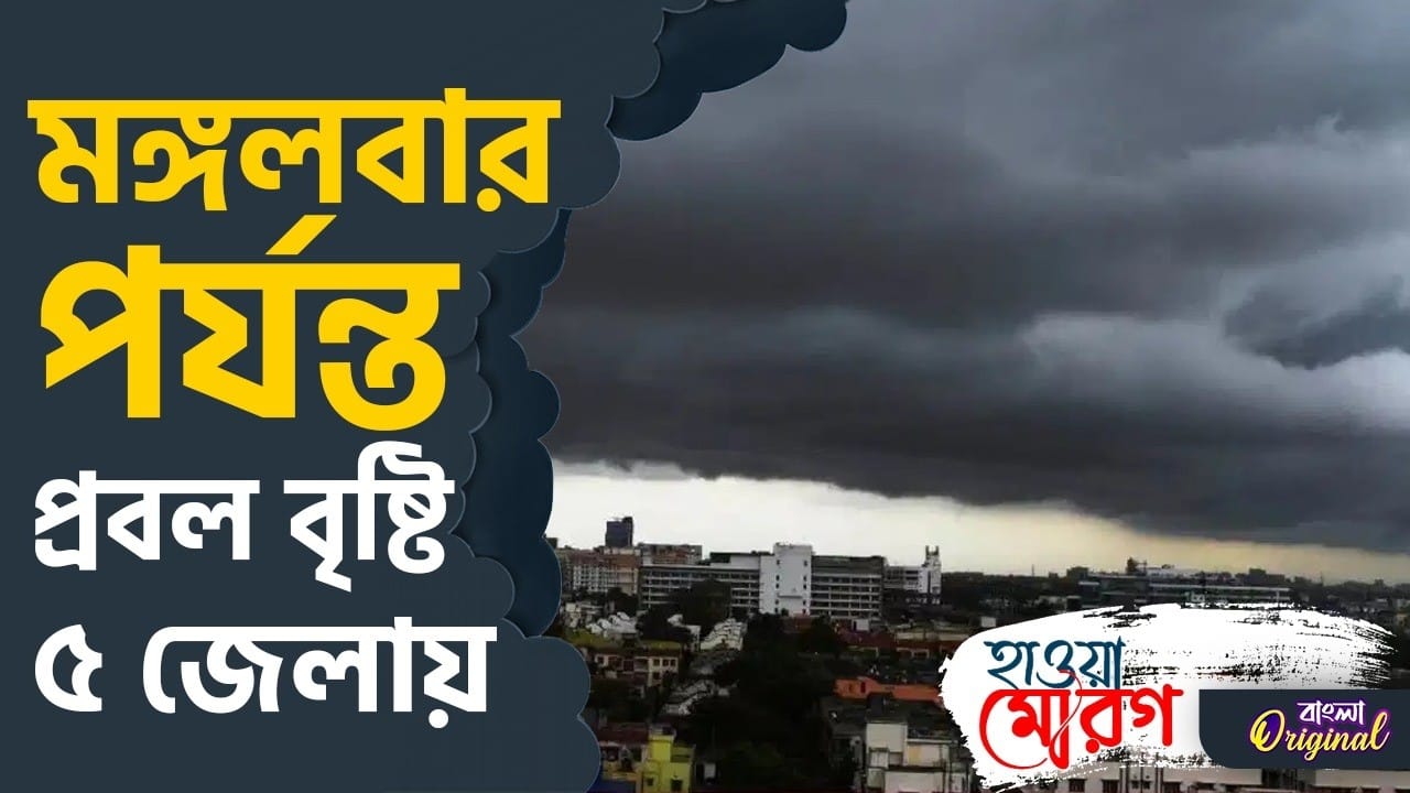 Weather Update Video: প্রবল বৃষ্টিতে ভাসবে বাংলা, কোথায়-কোথায় হবে বৃষ্টি? Weather Update Video: প্রবল বৃষ্টিতে ভাসবে বাংলা, কোথায়-কোথায় হবে বৃষ্টি?