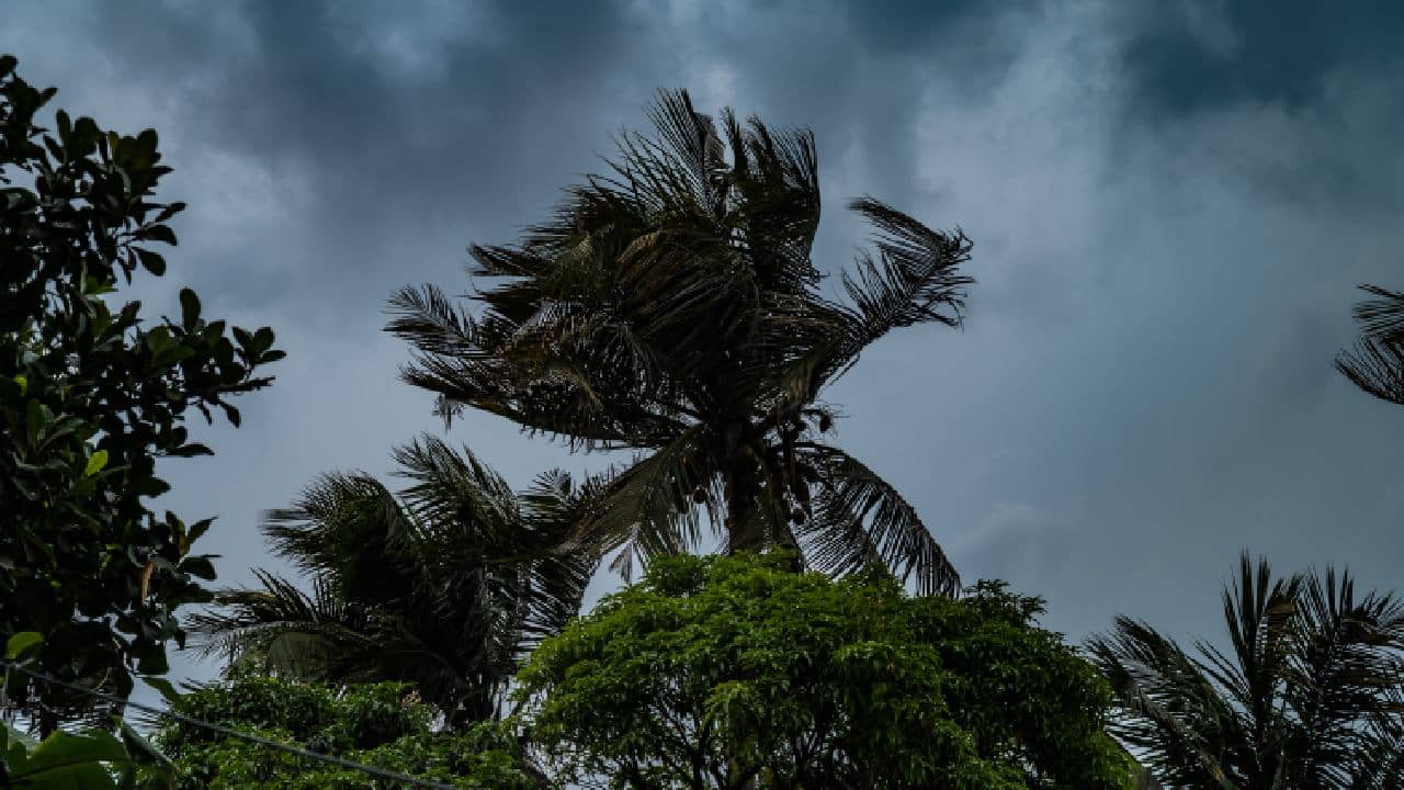 West Bengal Weather Updates: ৪৮ ঘণ্টা পর থেকেই ঘুরে যাবে হাওয়ার খেলা? বুধবার থেকেই অন্যরকম আবহাওয়া বাংলায়