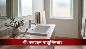 বাথরুমে এই জিনিস রাখলেই সর্বনাশ, অভাব অনটনের হাত থেকে বাঁচুন