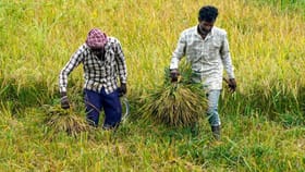 ২০০০ টাকা অ্যাকাউন্টে জমা পড়বে, এই সরকারি স্কিম নিয়ে এল আপডেট