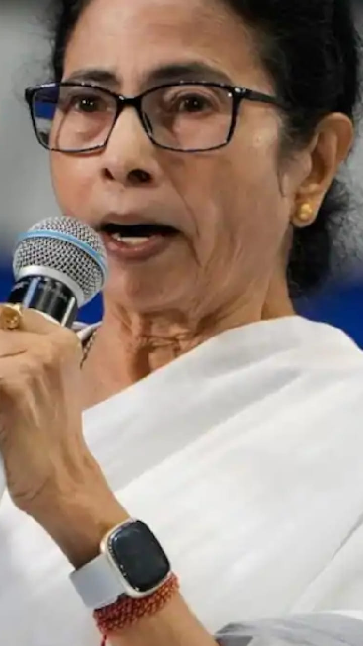 হাইকোর্টে নজিরবিহীন বিশৃঙ্খলা! মমতা বন্দ্যোপাধ্যায়কে দেখেই ‘চোর’ স্লোগান আইনজীবীদের