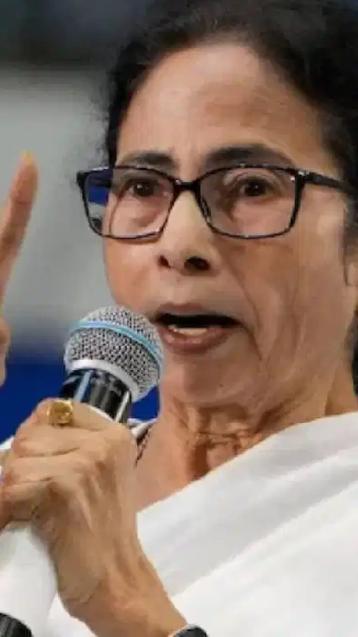 আইনজীবী হিসেবে হাইকোর্টে সওয়াল করলেন মমতা বন্দ্যোপাধ্যায়