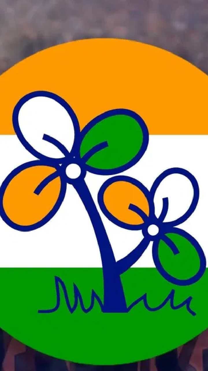 রাজ্যে ক্ষমতা বদলাতেই সক্রিয় পুলিশ, অস্ত্র মামলায় শ্রীঘরে পূজালীর তৃণমূল কাউন্সিলর