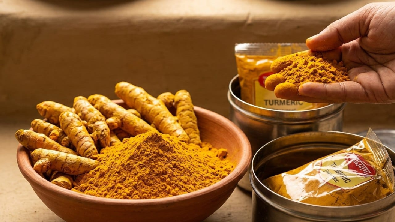 বাঙালির রান্নাঘর হলুদ ছাড়া প্রায় অচল, কিন্তু এই পরিচিত মশলাটি আদতে খাঁটি তো? বাজারের অনেক প্যাকেটজাত বা খোলা হলুদে উজ্জ্বলতা বাড়াতে মেশানো হয় কৃত্রিম রং। এর পাশাপাশি থাকতে পারে বিষাক্ত লেড ক্রোমেট বা সীসা, যা স্বাস্থ্যের জন্য মারাত্মক ক্ষতিকর। Gemini AI