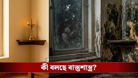বাড়ির দেওয়ালে নোনা ধরছে? অজান্তেই লক্ষ্মী বিদায় হচ্ছে না তো!