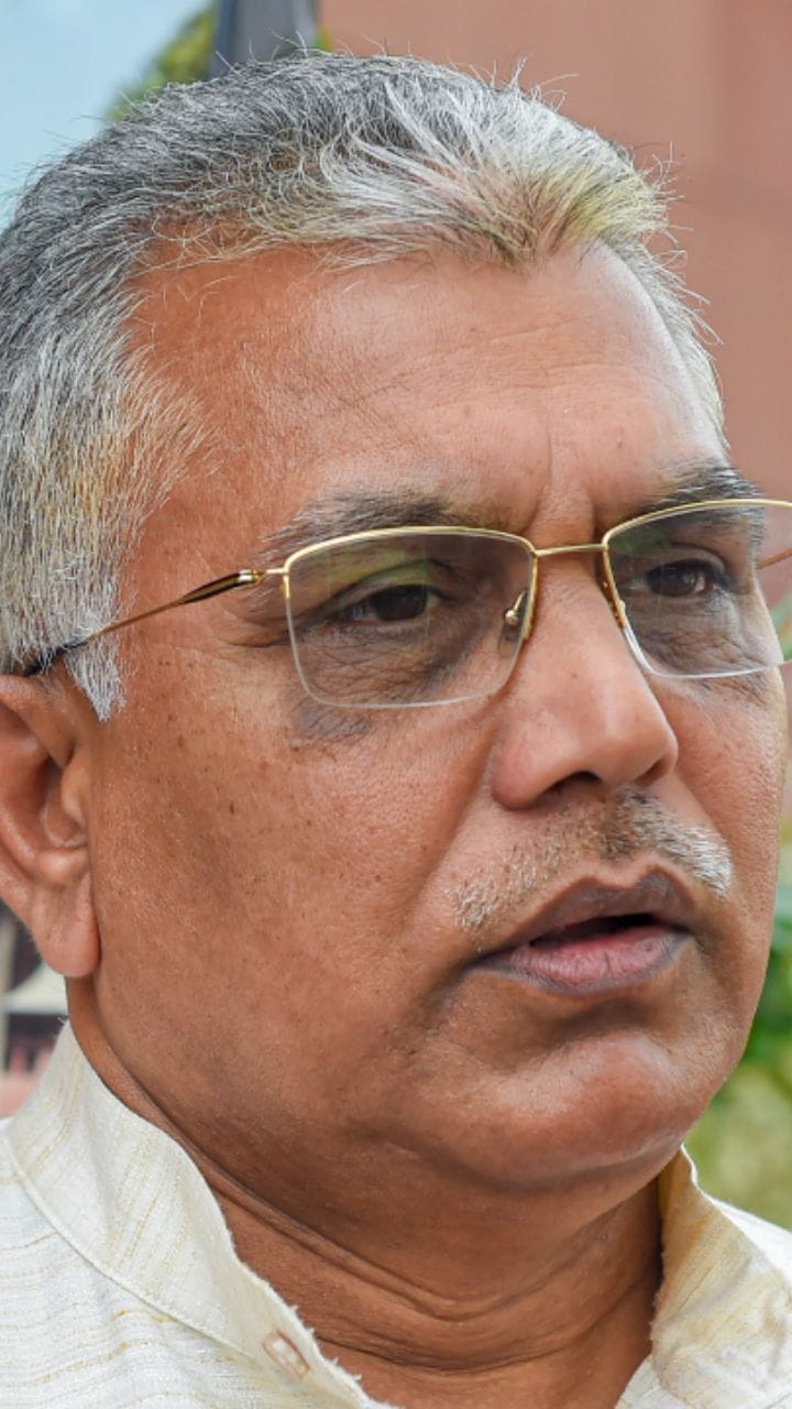স্যাঁকরা মায়ের গয়না থেকেও চুরি করে: দিলীপ