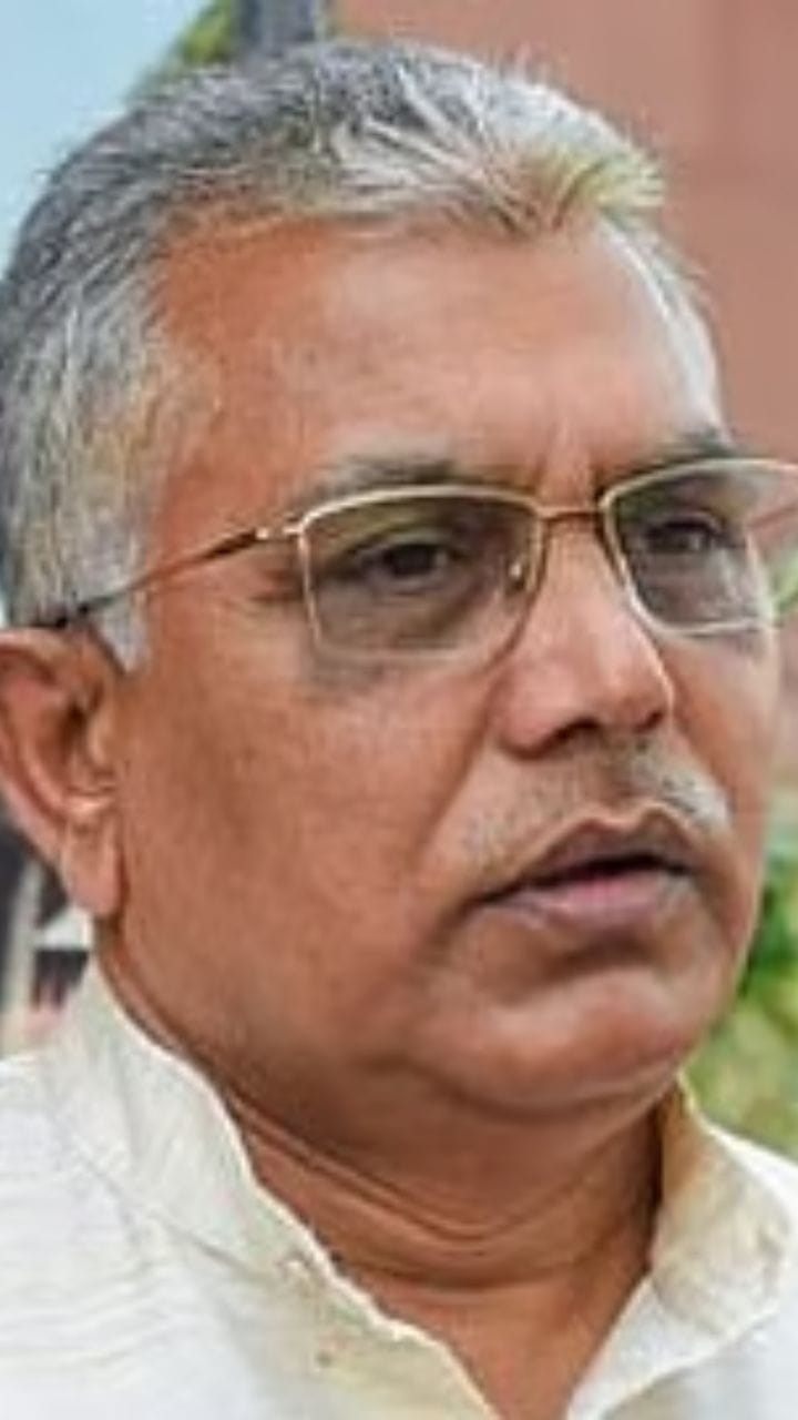 'পিসি-ভাইপো থেকে যাবে, বাকি সবাই গায়েব হবে'