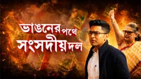 দিল্লিতে দড়ি টানাটানি তৃণমূলের, কাকলি না অভিষেক, কে এগিয়ে?