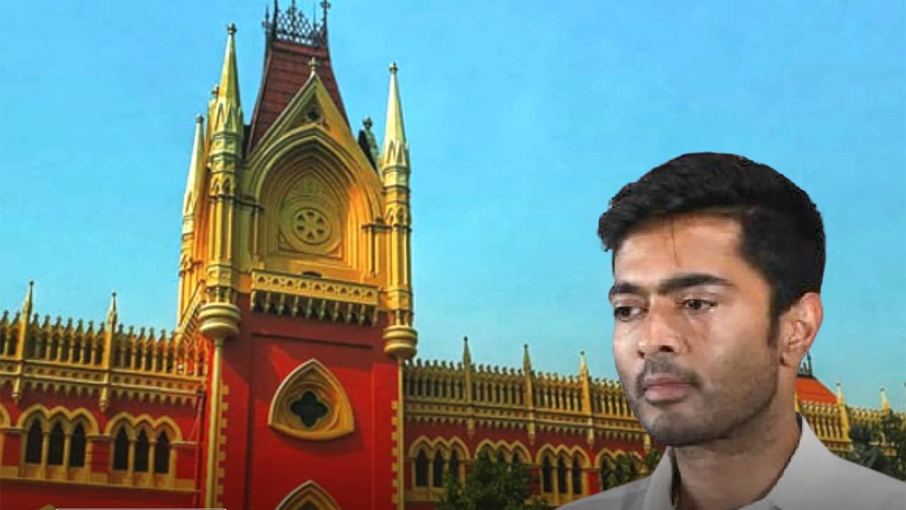 Abhishek Banerjee: তৃণমূলে ডামাডোলের মধ্যেই হাইকোর্টে অভিষেক, কেন?