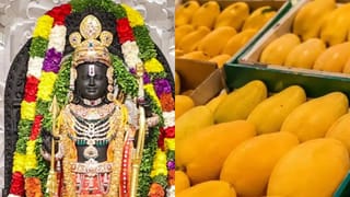 Ayodha Ram Mandir: একখানা আমের দাম এক লাখ, অযোধ্যার রামের পায়ে দেওয়া হল এই বিশেষ ফল