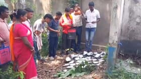 পঞ্চায়েতের শৌচালয়ের পাশে বিপুল সংখ্যক আধপোড়া নথি, কী চলছে বাঁকুড়ায়?