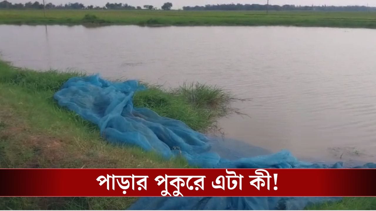 Katwa News: পুকুরে মাছ ধরতে গিয়েছিলেন মিঠুনরা, জাল টানতেই যা উঠে এল, সব ফেলে পালিয়ে গেলেন তাঁরা