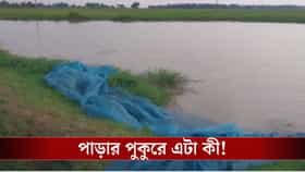 পুকুরে মাছ ধরতে গিয়েছিলেন মিঠুনরা, জাল টানতেই উঠল...