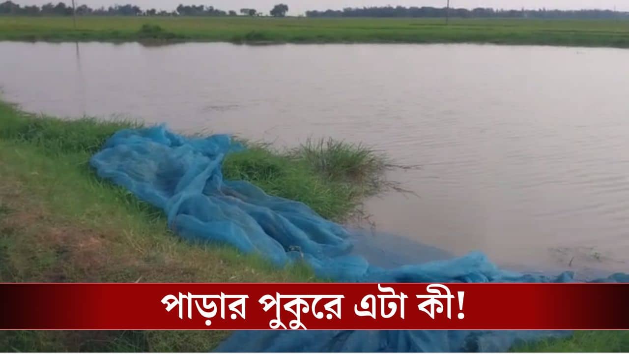 Katwa News: পুকুরে মাছ ধরতে গিয়েছিলেন মিঠুনরা, জাল টানতেই যা উঠে এল, সব ফেলে পালিয়ে গেলেন তাঁরা