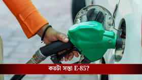 পেট্রোলের থেকে অনেক সস্তা, এল E85 জ্বালানি, আপনার গাড়িতে ভরা যাবে?
