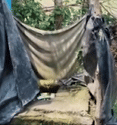 সরকারি শৌচালয় তৈরির নামেও তোলাবাজি তৃণমূল নেতার?