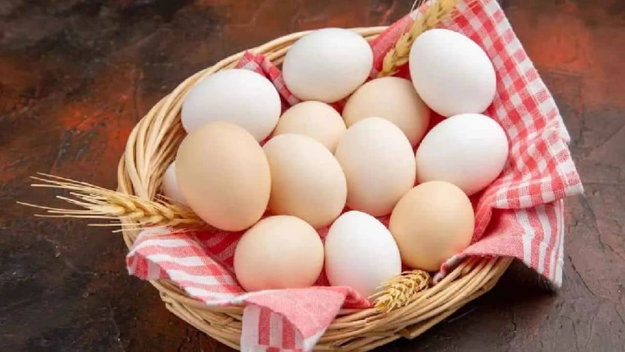 Health Tips: দিনে কটা ডিম খাওয়া নিরাপদ জানেন?