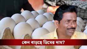 এক ট্রে ২০০ টাকার উপরে! কেন এত বাড়ছে ডিমের দাম?