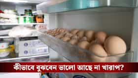দীর্ঘদিন ফ্রিজে ডিম রাখেন? ভালো আছে না পচে গিয়েছে বুঝবেন কীভাবে?