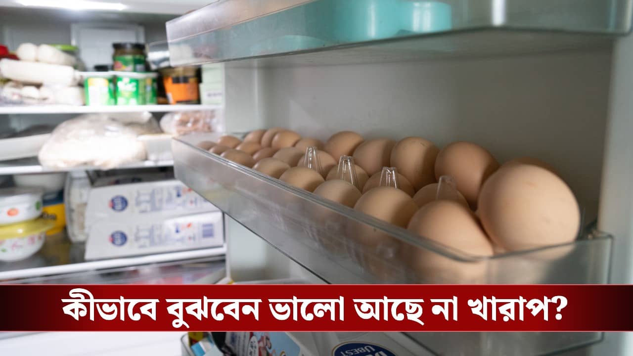 Eggs in Refrigerator: দীর্ঘদিন ফ্রিজে ডিম রাখেন? ভালো আছে না পচে গিয়েছে বুঝে যান এই চার উপায়েই