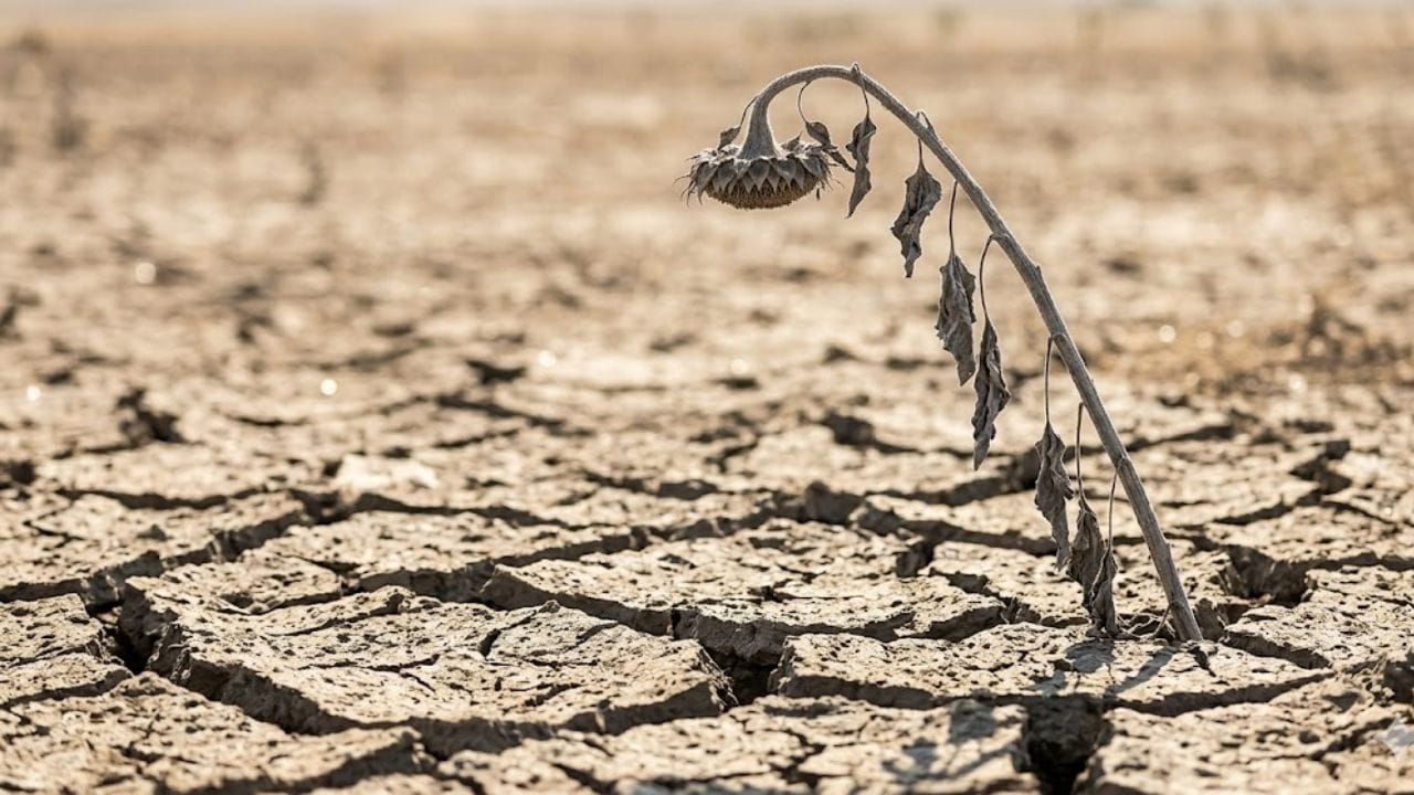 Super El Niño Impact: পাগলা ঘোড়ার মতো এগোচ্ছে Super El Nino, এই ১২ রাজ্যে সবথেকে বেশি প্রভাব পড়বে… তালিকায় বাংলার নামও?