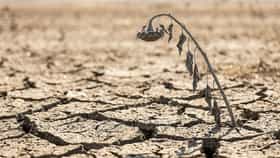 এগোচ্ছে Super El Nino, এই ১২ রাজ্যে সবথেকে বেশি প্রভাব পড়বে...
